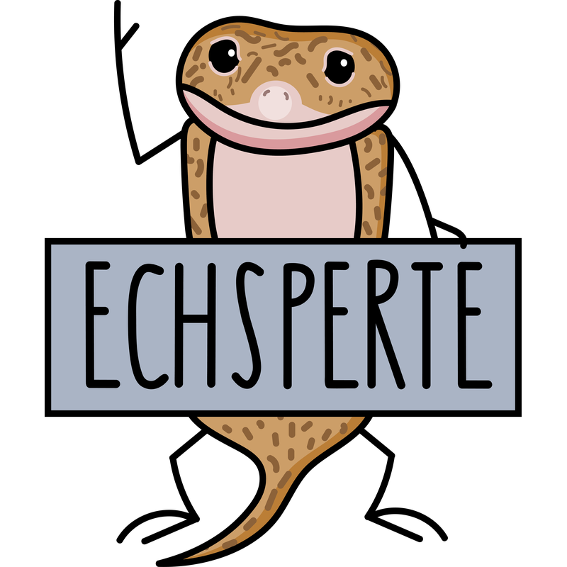 Lustige Echse als Experte Lustige Echse als Experte