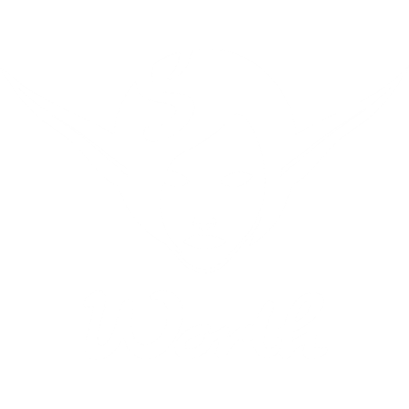 SElfWorth Weiß SElfWorth Weiß