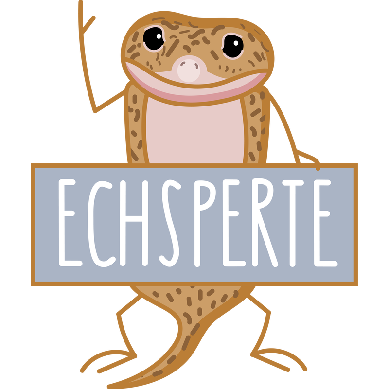 Lustige Echse als Experte (b) Lustige Echse als Experte (b)