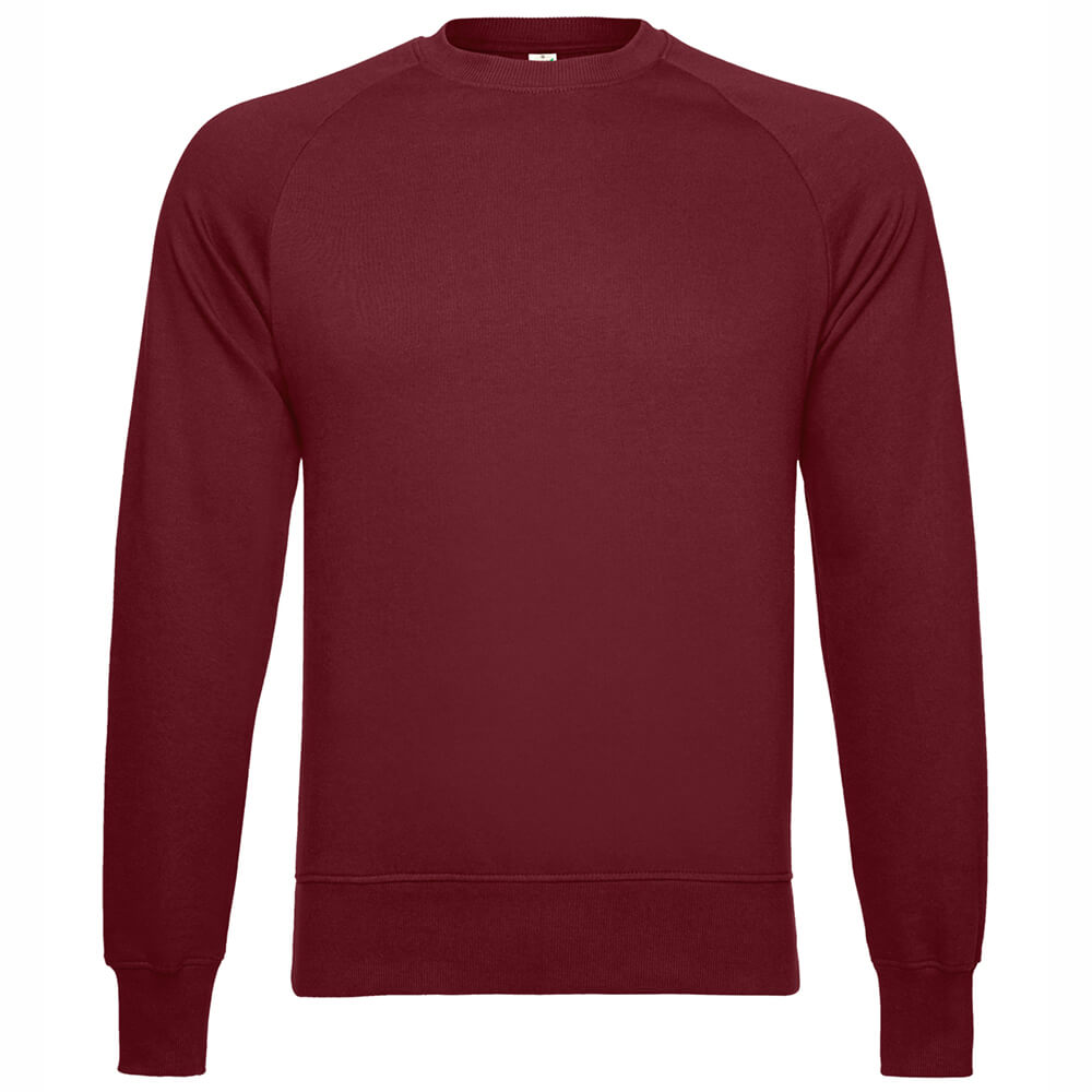 Männer Bio Raglan-Sweatshirt - klimaneutral